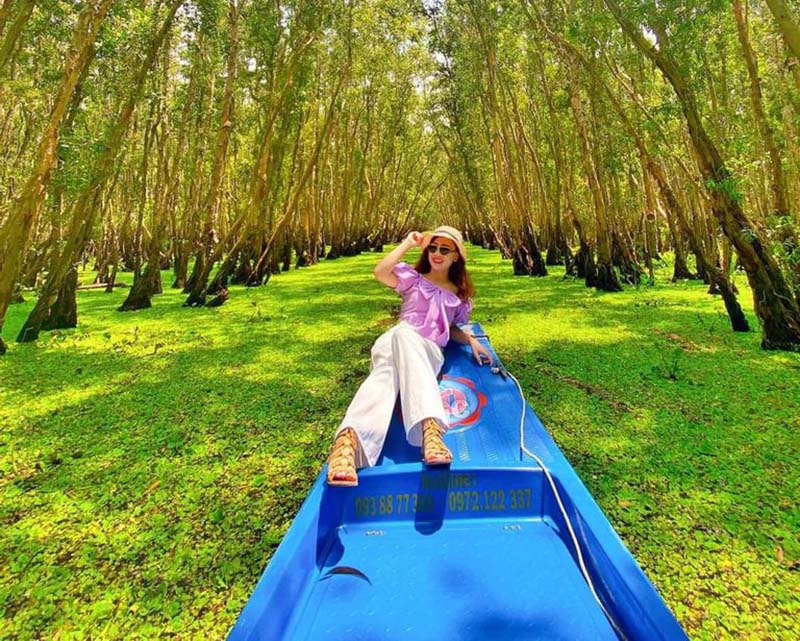 Tra Su Cajuput Forest in mekong delta vietnam